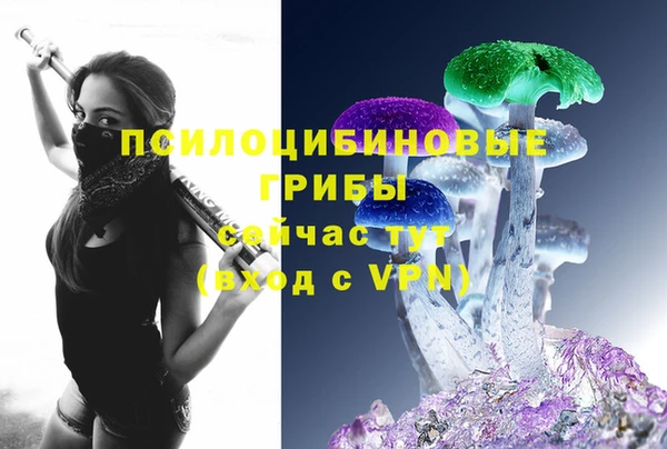 спайс Белокуриха